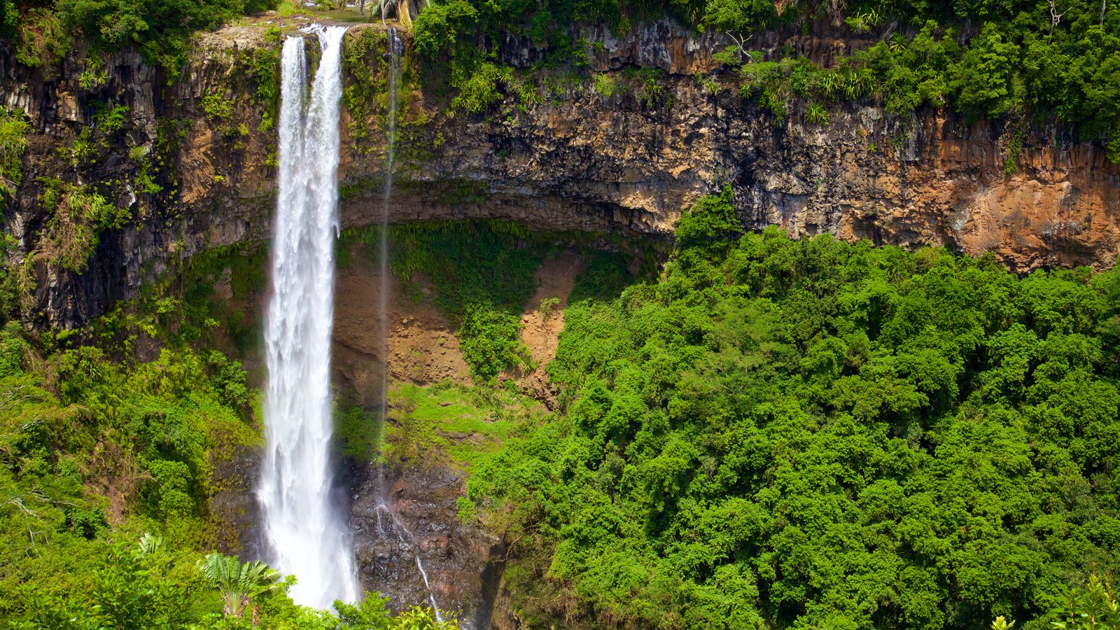 Black River Gorges National Park - Mauritius